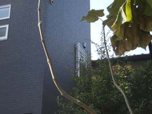 目隠しルーバー