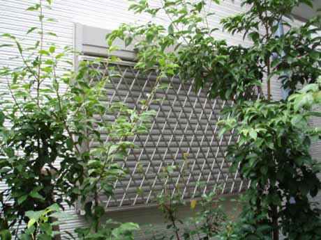 ヒシクロス面格子